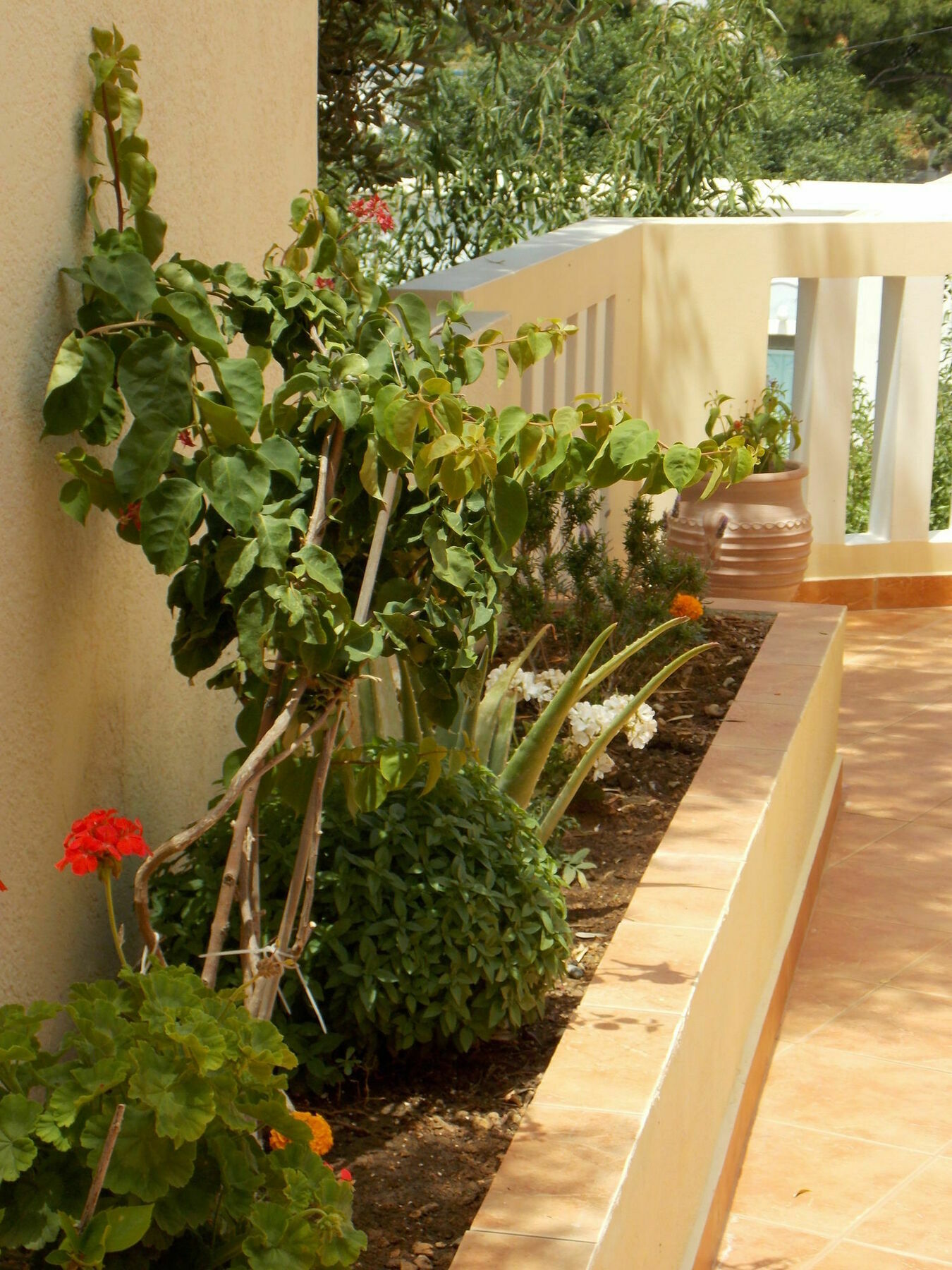 Myrties Boutique Apartments Masouri Exterior foto